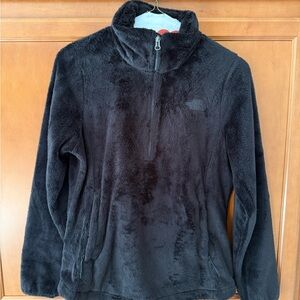 The North Face Dark Fleece Jacket